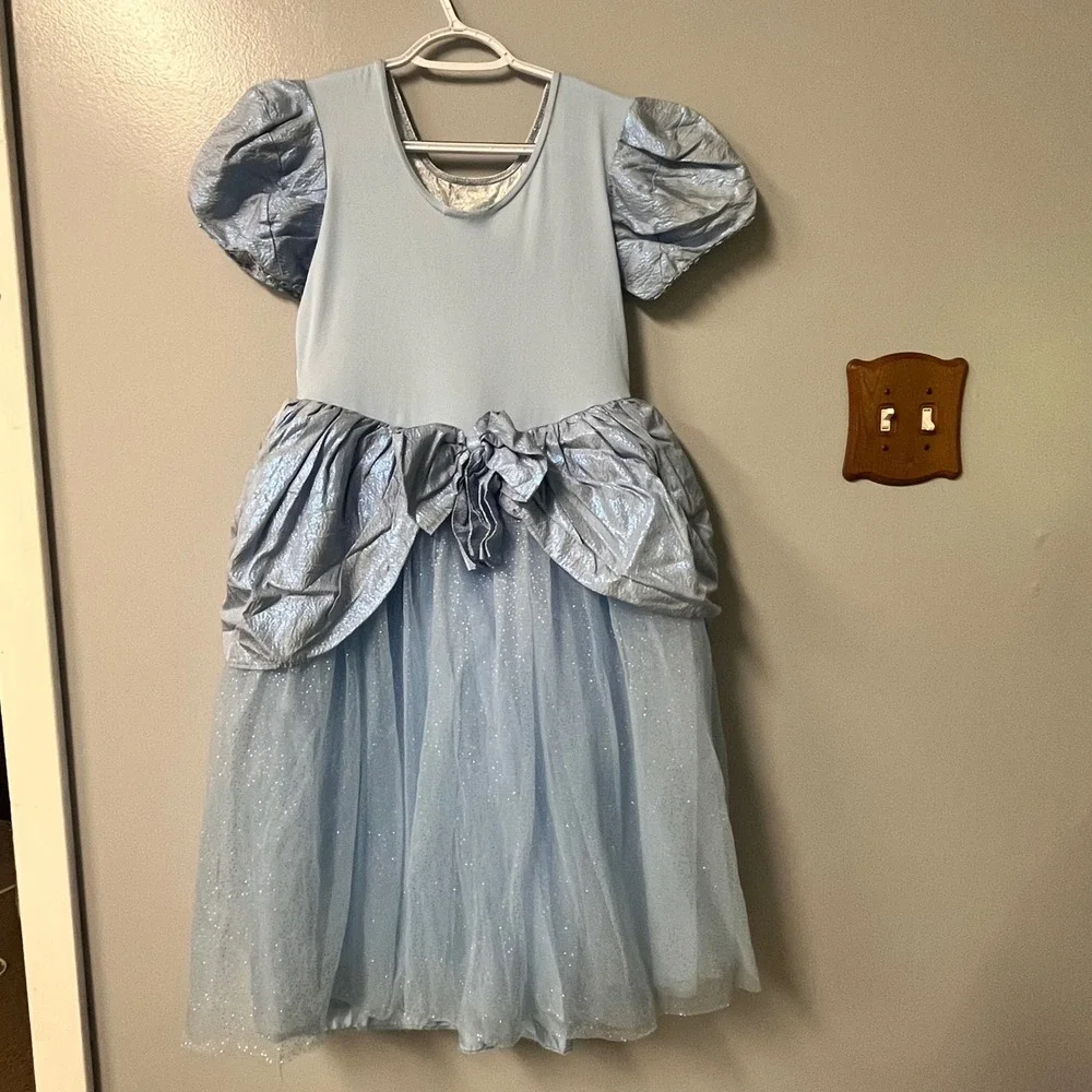 Light Blue Princess Costume Dress Shimmering Floral Tulle Glitter Gown Halloween